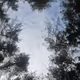 MyNature