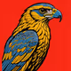 FALCON