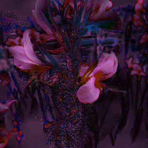 New Bloom 2020