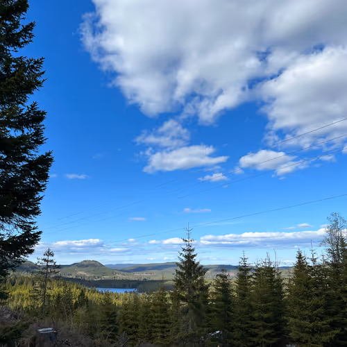 diogor.lens-Collect-804