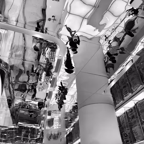 w_t_f.lens-Collect-871