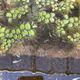 andou.lens-Collect-12