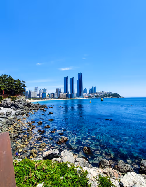 Item #88848103944701656238323923256385931249983199870866440761813751626625192445764 Media