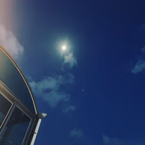 Item #24874882364434518380661987769570344796935662618775059575181516427014410972059 Media