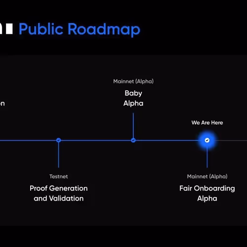 freedogecoin.lens-Collect-374