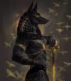 Unknown