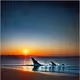 Sunrise Sea