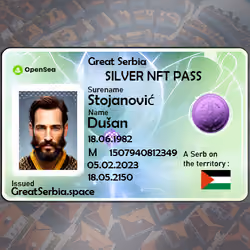 Silver NFT PASS #9