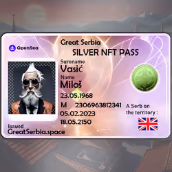 Silver NFT PASS #10