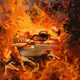 Flame Frog