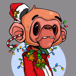 Monkey #005