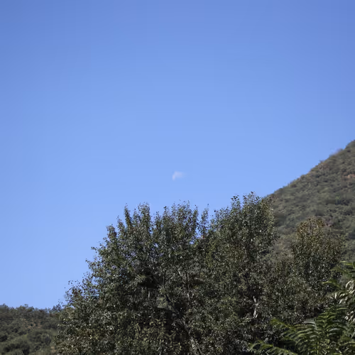 808889.lens-Collect-9