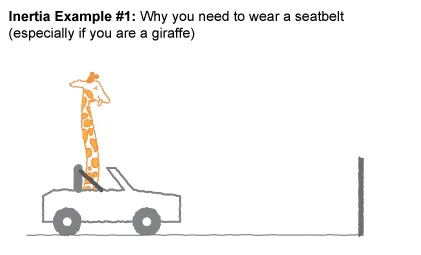 aldokiv.lens-Collect-304