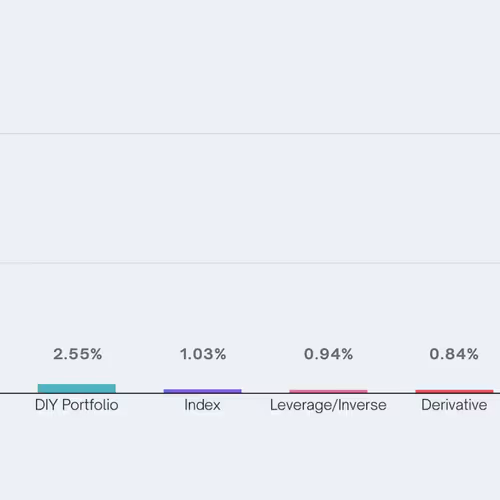 adani.lens-Collect-1049