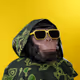 Mankey USD