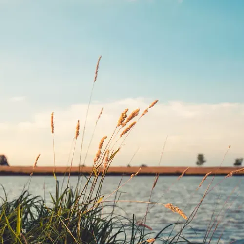 oooo3.lens-Collect-1130