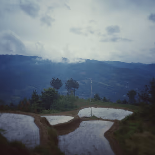 hijinmiss.lens-Collect-218