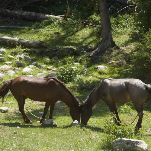 ab8848.lens-Collect-633