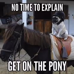 No time to explain!