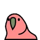 LNDNFT