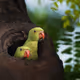 murauchitomomi.lens-Collect-308
