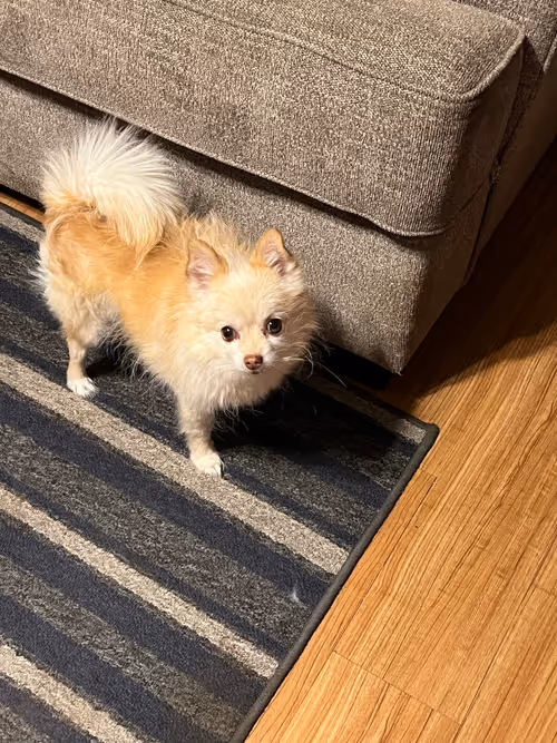 Item #7822745192073641467541435106113461214216270938447809421462308921790924062721 Media