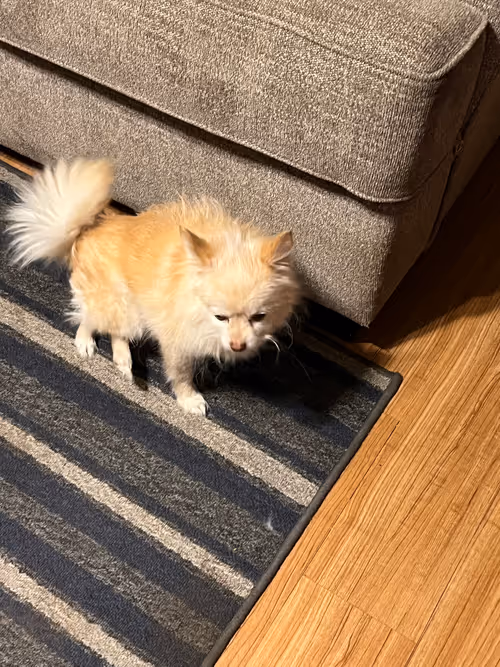 Item #7822745192073641467541435106113461214216270938447809421462308921790924062724 Media