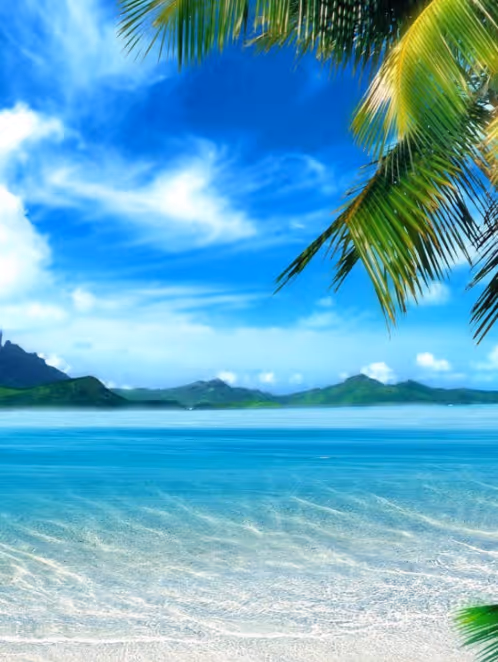 Item #80879840001451919384001045261058892020911433267621717443310830747649 Media