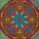 Unknown