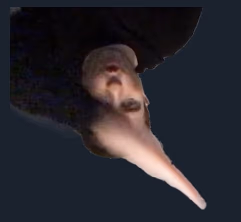 0x2025.lens-Collect-62