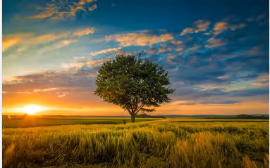 nature