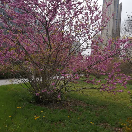 0x65c0788bc004476e3e3532478cc62e7515ee9c04