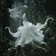 Phantom Lily