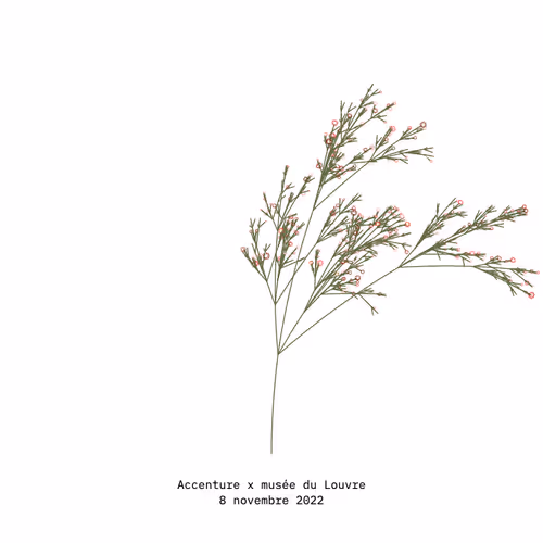 Item #25 Media