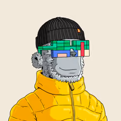 y00t #771
