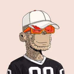y00t #9176