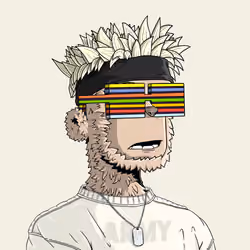 y00t #8056