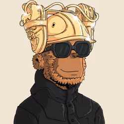 y00t #4841