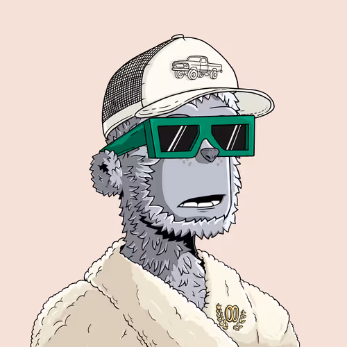 y00t #3855