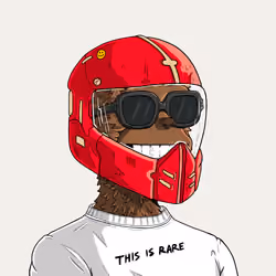 y00t #1262