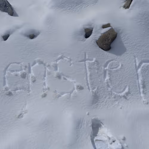 youmao.lens-Collect-68