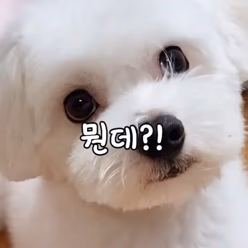 k1r4ra.lens-Collect-779