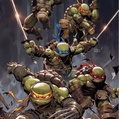 Turtle Ninja