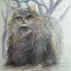SHC Sybil Hairy Cat