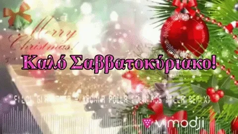 erdem.lens-Collect-366