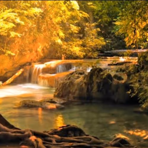 Golden 3tzetavroj