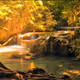 Golden - 3tzETAVroJ