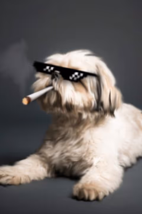 Item #2825210495579661255259503258432585292252201288200814969932546799634040750082 Media