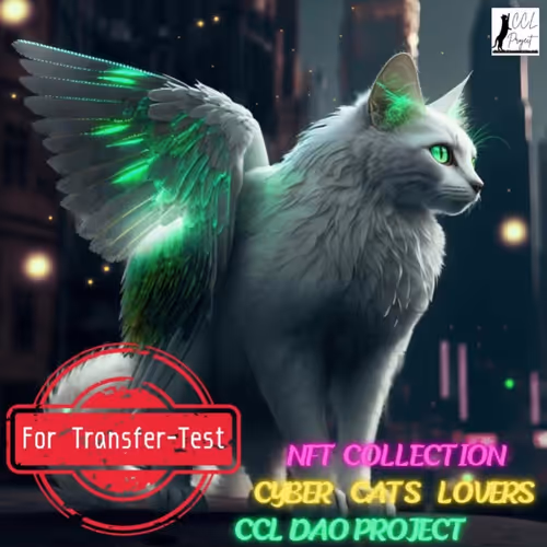 For Transfer-Test  vol.2