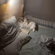 jingtan.lens-Collect-158
